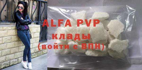 PSILOCYBIN Каменка