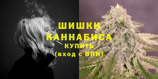 ГАЛЛЮЦИНОГЕННЫЕ ГРИБЫ Гусев