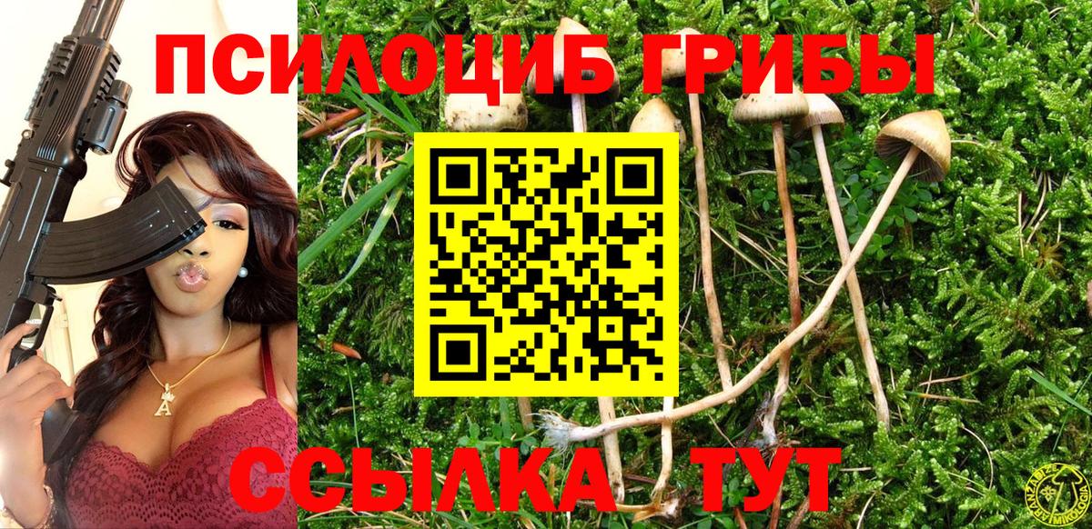 Псилоцибиновые грибы GOLDEN TEACHER Луховицы